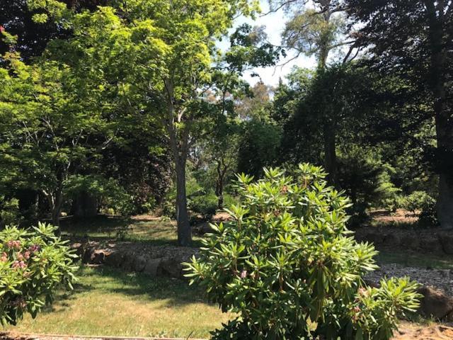 Bridal Falls Cottage Leura Esterno foto